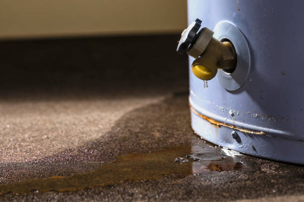 Best Carpet water damage restoration  in Berry College, GA