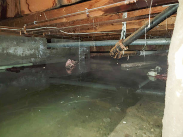 Best Water damage restoration services  in Berry College, GA