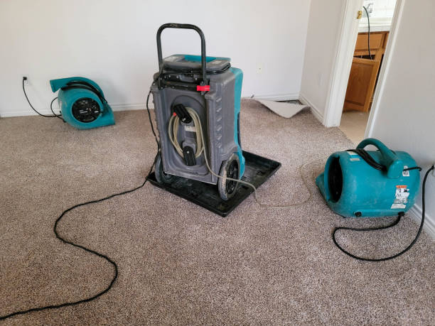 Best 24/7 water damage repair  in Berry College, GA