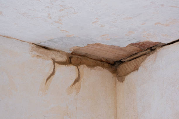 Best Flood restoration services  in Berry College, GA