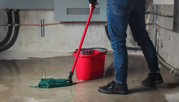 Best Carpet water damage restoration  in Berry College, GA