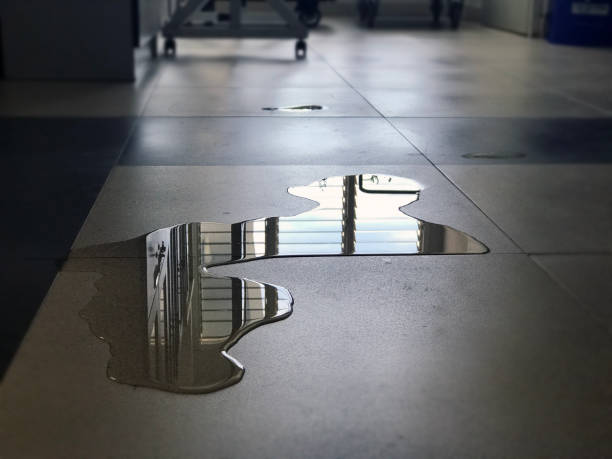 Best 24-hour water damage restoration  in Berry College, GA
