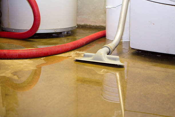 Best Flooded house restoration  in Berry College, GA