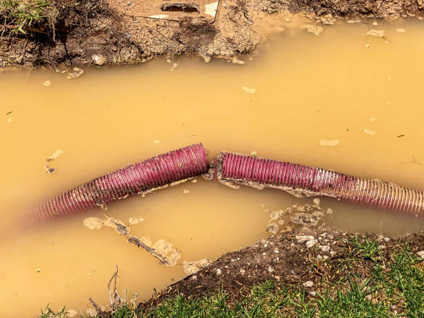 Best Water damage restoration near me  in Berry College, GA