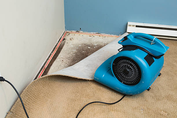 Best Fire Damage Restoration  in Berry College, GA